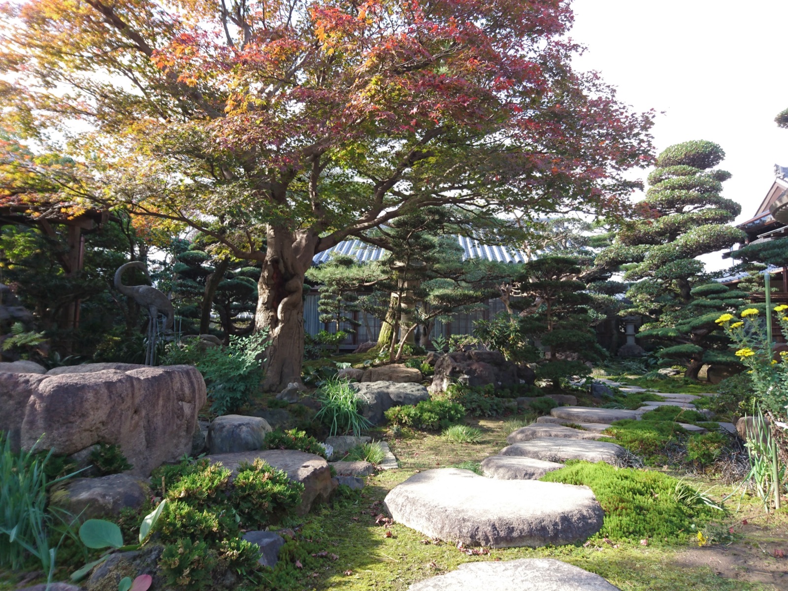 紅葉の季節の日本庭園