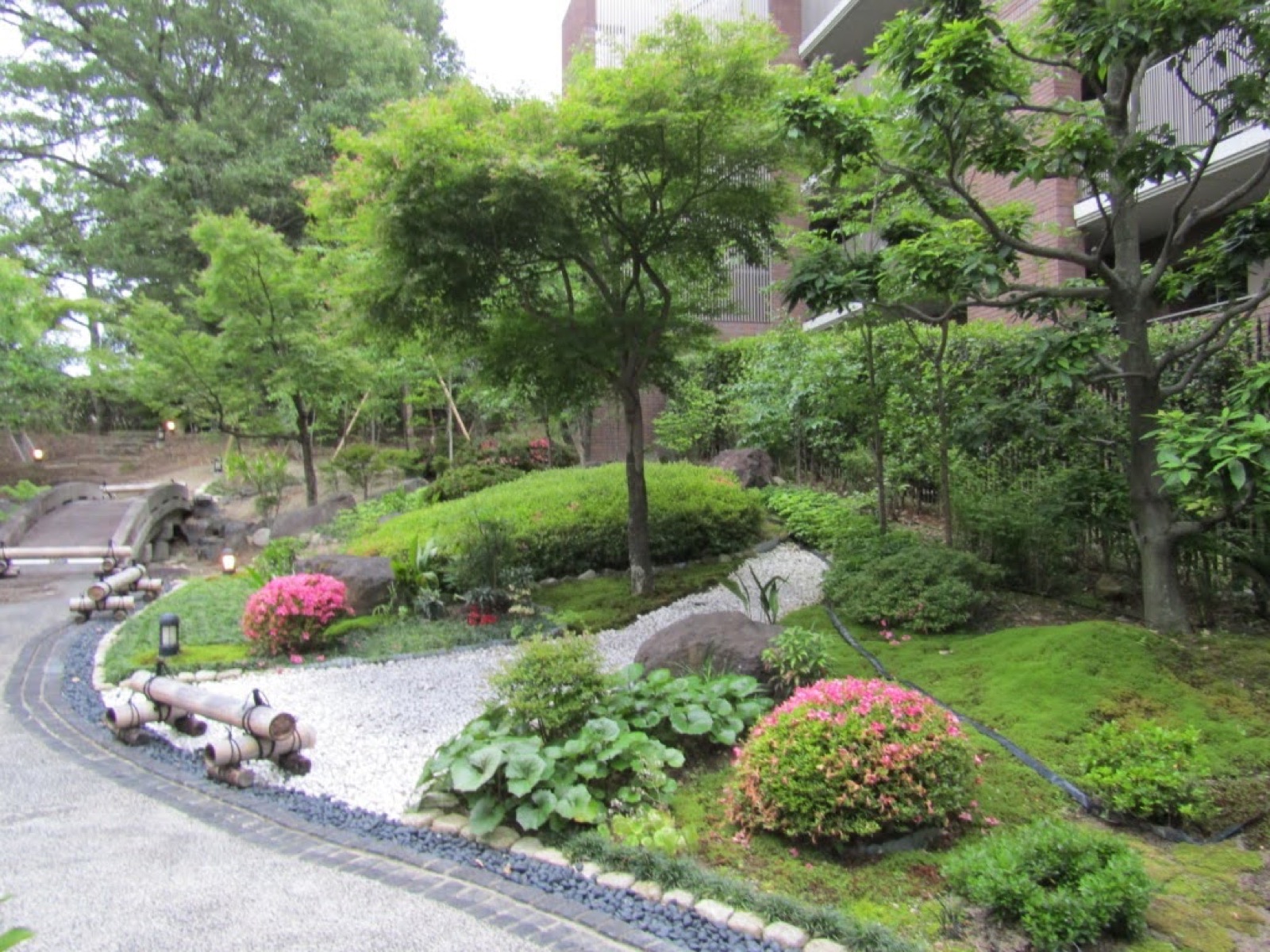 石組まわりの植栽の手入れ